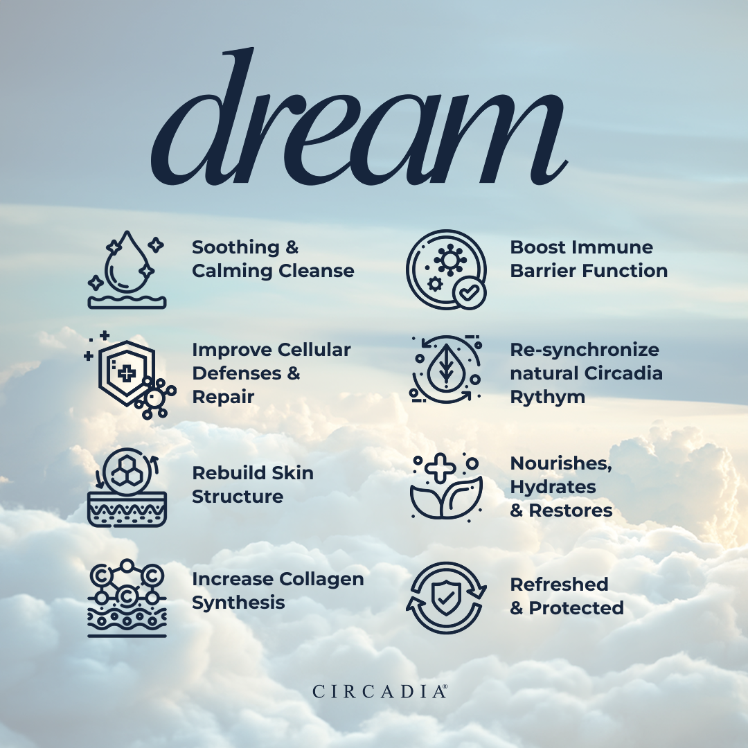Dream Signature Facial Complete Bundle