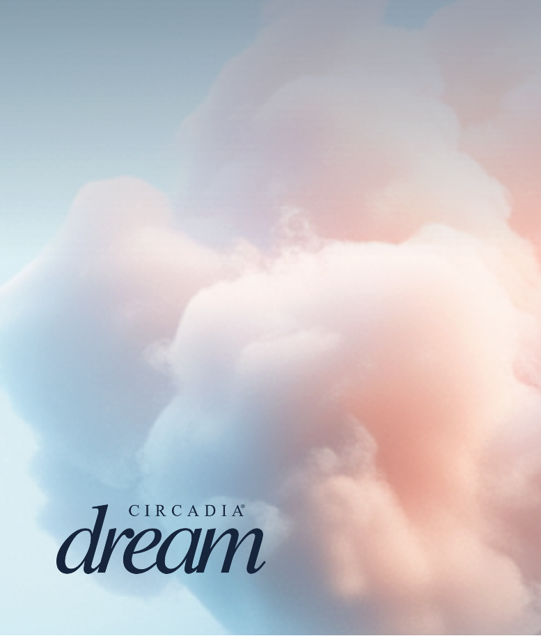 Dream.png__PID:88a45b81-79cc-4214-8622-be99fac29ca8